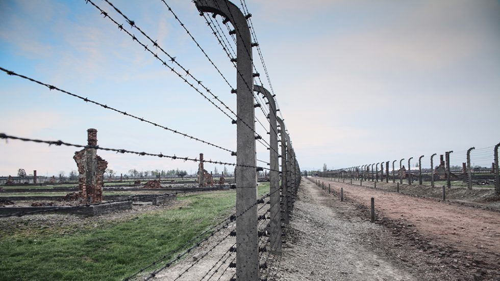 auschwitz